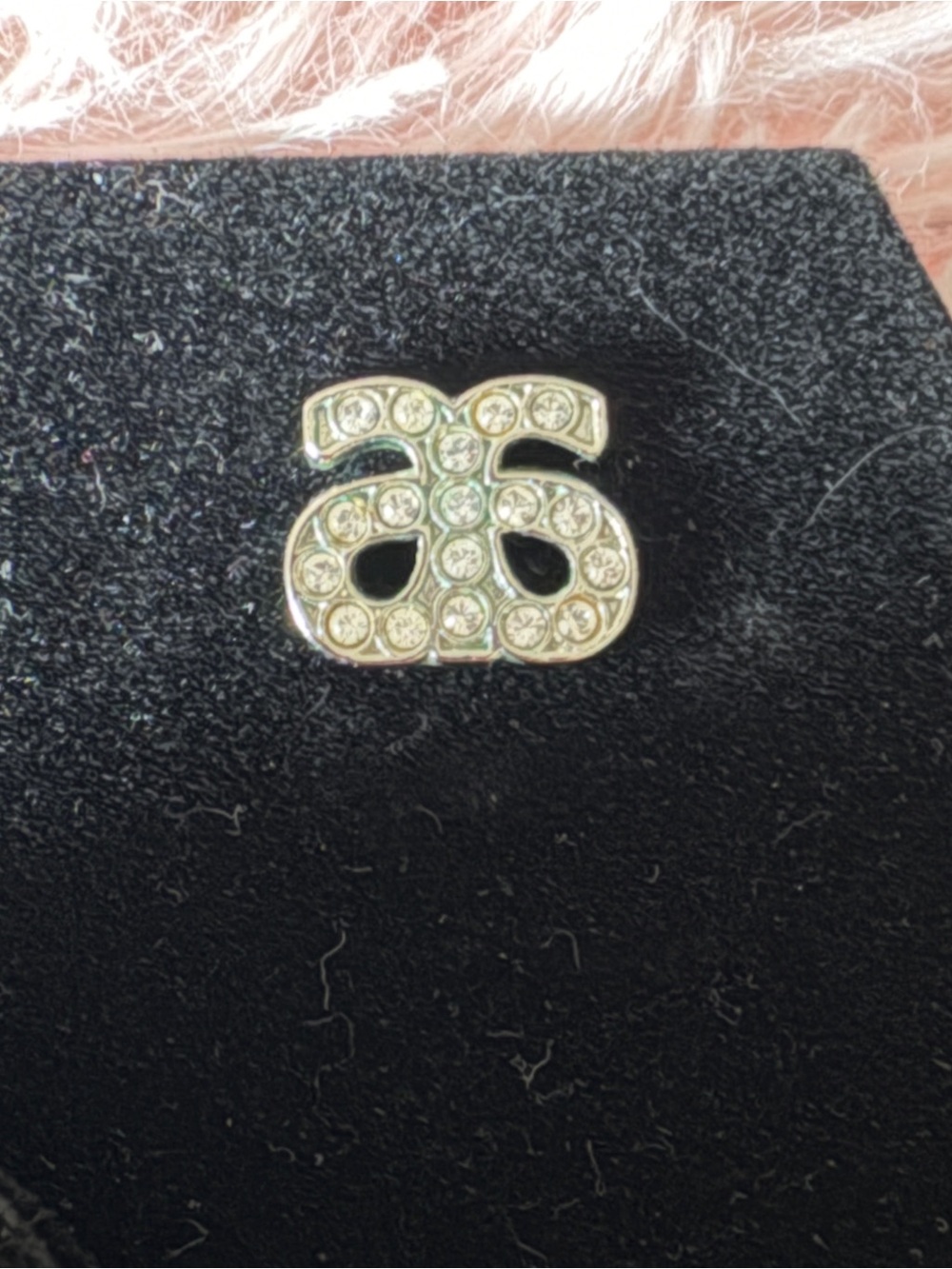 Arbonne Logo Rhinestone Post Earrings with Logo Drawstring Velvet Bag
